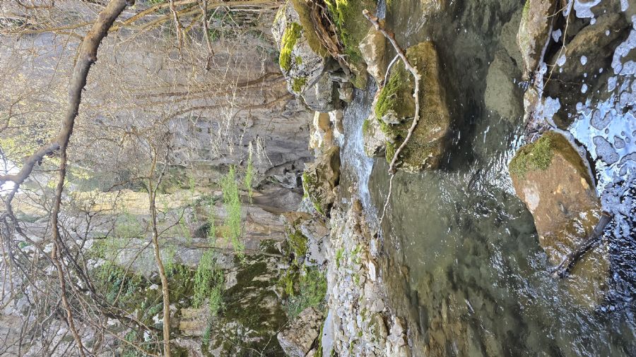 טרק המנליון